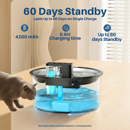 Protect your cat from dehydration and costly emergency vet bills with Loom Oasis